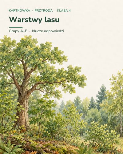 Warstwy lasu — kartkówka z przyrody, klasa 4, grupy A–E — okładka