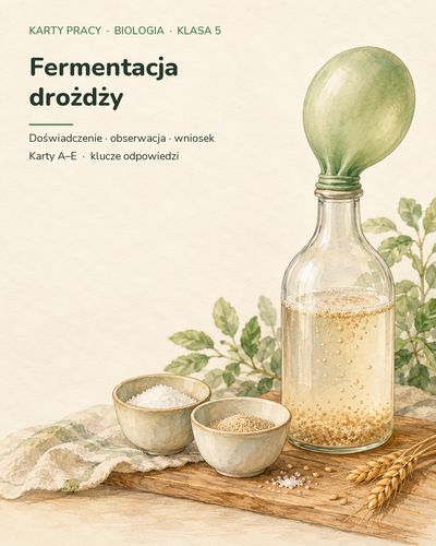 Fermentacja drożdży — 5 kart pracy z biologii, klasa 5, z kluczem — okładka