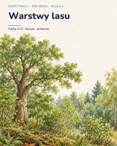 Warstwy lasu — 5 kart pracy z przyrody, klasa 4, z kluczem — okładka