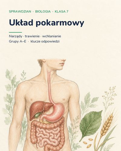 Układ pokarmowy — sprawdzian z biologii, klasa 7, grupy A–E — okładka