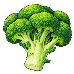 broccoli — brokuły
