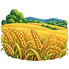 field — pole