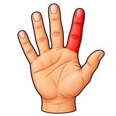 finger — palec