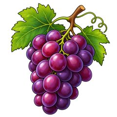 grapes — winogrona