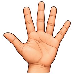 hand — dłoń