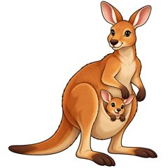 kangaroo — kangur