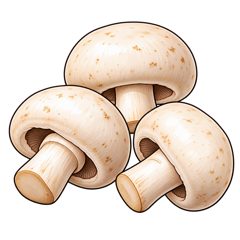 mushrooms — grzyby