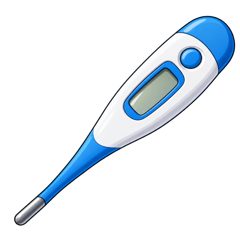 thermometer — termometr