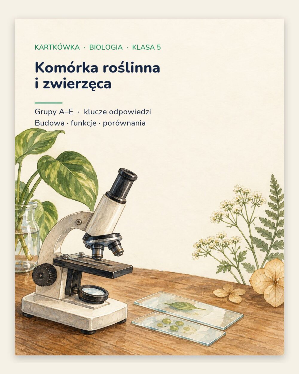 Komórka roślinna i zwierzęca — kartkówka, klasa 5, grupy A–E — okładka