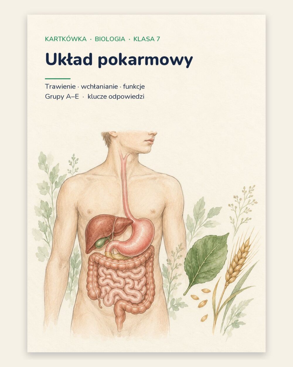 Układ pokarmowy — kartkówka z biologii, klasa 7, grupy A–E — okładka
