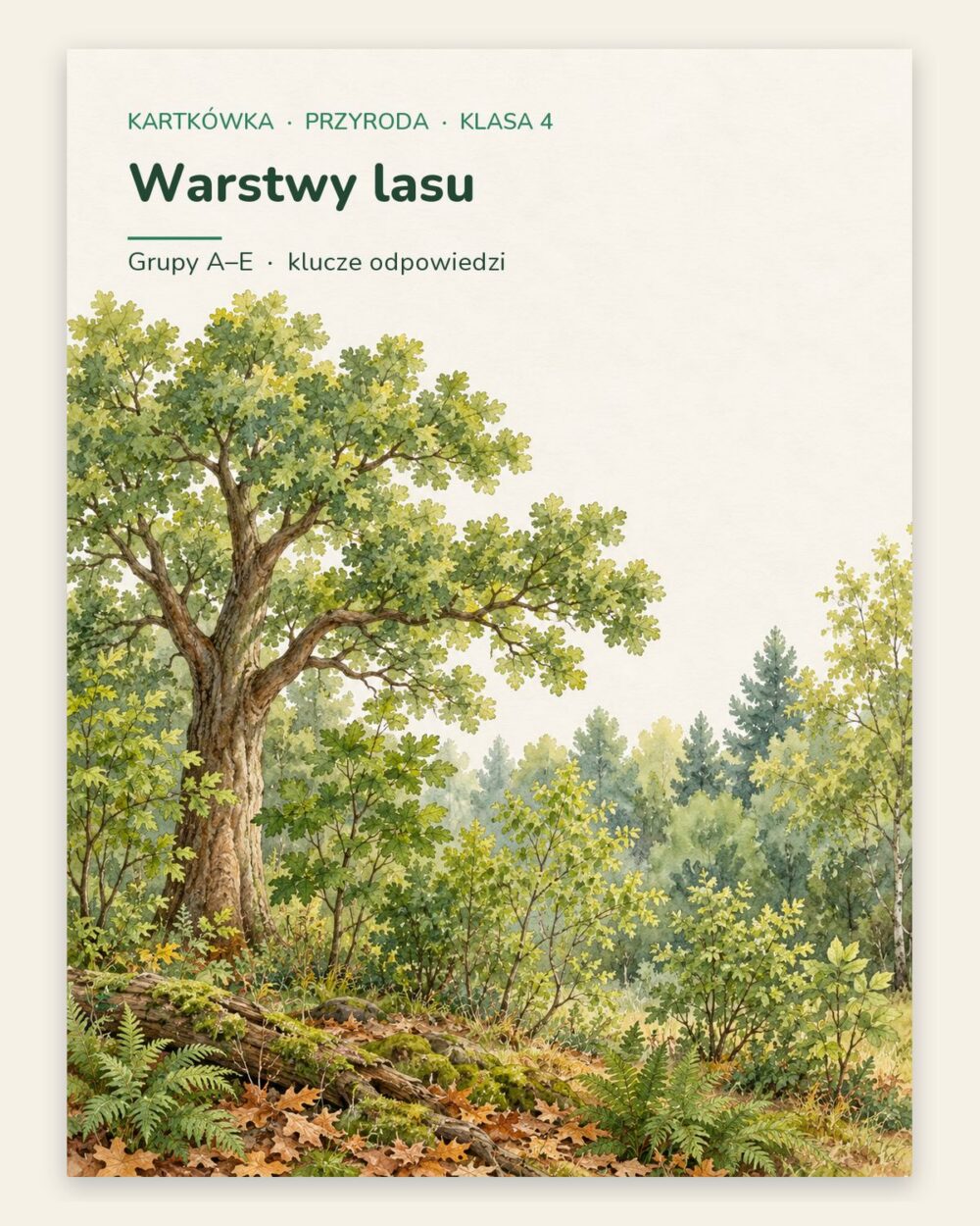 Warstwy lasu — kartkówka z przyrody, klasa 4, grupy A–E — okładka