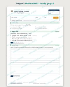 Wodorotlenki i zasady — kartkówka z chemii, klasa 8, grupy A–E — podgląd, grupa B