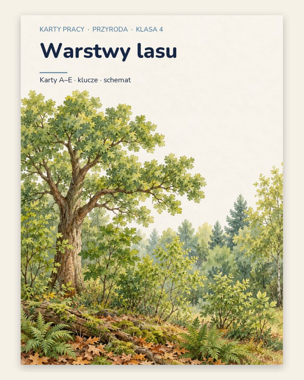 Warstwy lasu — 5 kart pracy z przyrody, klasa 4, z kluczem — okładka