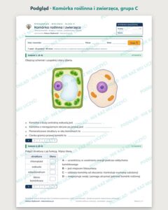 Komórka roślinna i zwierzęca — sprawdzian, klasa 5, grupy A–E — podgląd, grupa C