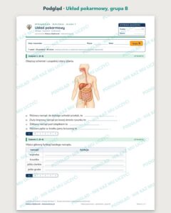 Układ pokarmowy — sprawdzian z biologii, klasa 7, grupy A–E — podgląd, grupa B