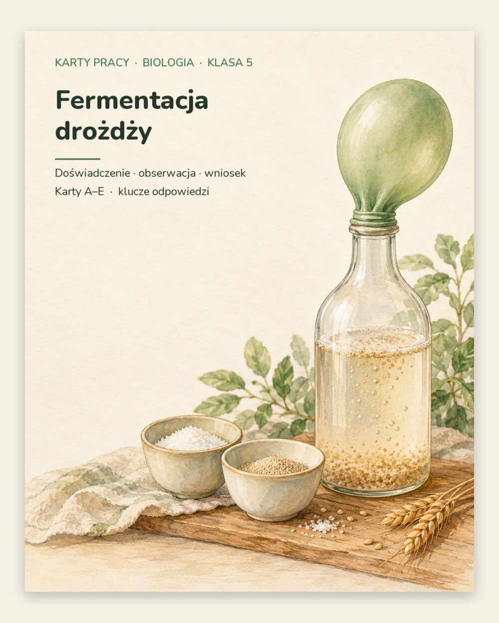 Fermentacja drożdży — 5 kart pracy z biologii, klasa 5, z kluczem — okładka