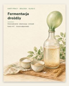 Fermentacja drożdży — 5 kart pracy z biologii, klasa 5, z kluczem — okładka