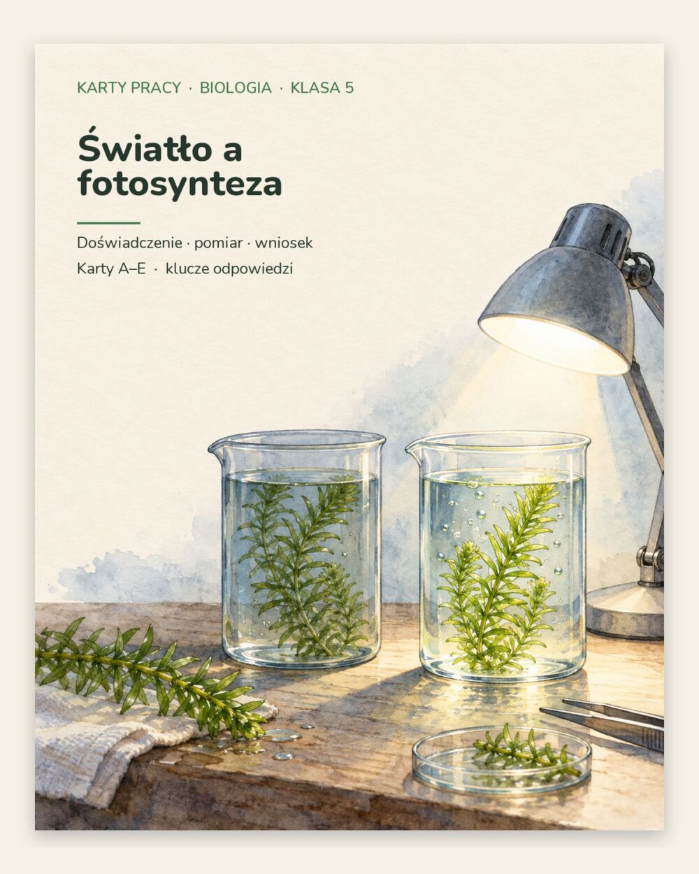 Światło a fotosynteza — 5 kart pracy z biologii, klasa 5, z kluczem — okładka