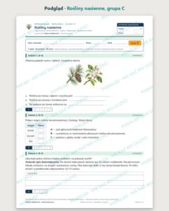 Rośliny nasienne — sprawdzian z biologii, klasa 5, grupy A–E — podgląd, grupa C