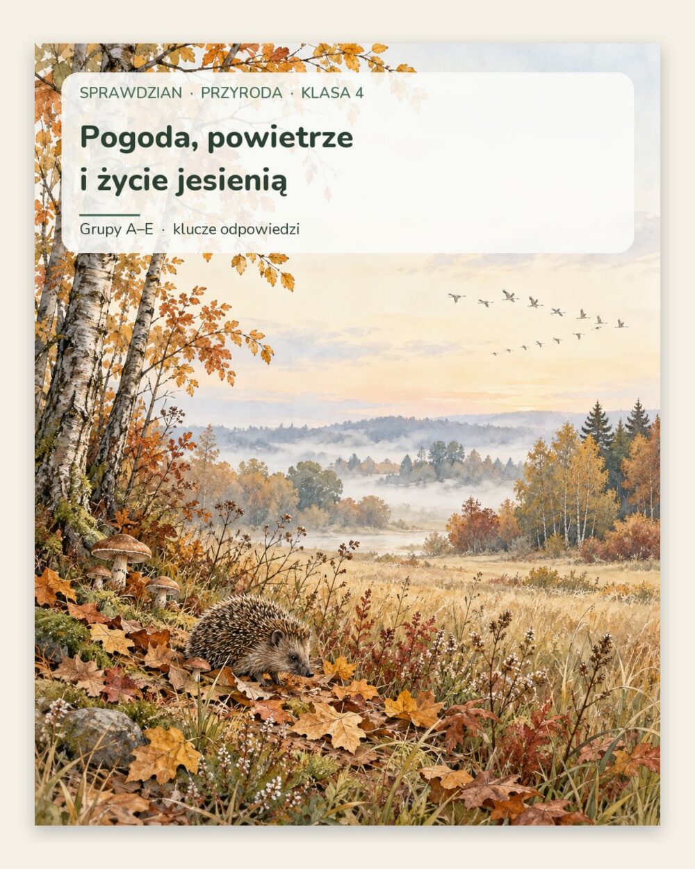Pogoda, powietrze i życie jesienią — sprawdzian, klasa 4, grupy A–E — okładka