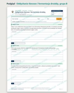 Oddychanie tlenowe i fermentacja drożdży — kartkówka, klasa 5 — podgląd, grupa B