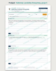 Substraty i produkty fotosyntezy — kartkówka, klasa 5, grupy A–E — podgląd, grupa C
