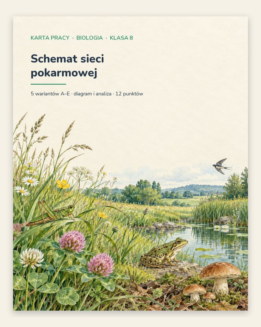 Schemat sieci pokarmowej — 5 kart pracy z biologii, klasa 8, z kluczem — okładka