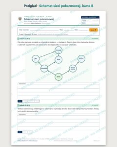 Schemat sieci pokarmowej — 5 kart pracy z biologii, klasa 8, z kluczem — podgląd, karta B
