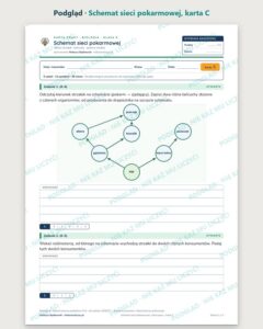 Schemat sieci pokarmowej — 5 kart pracy z biologii, klasa 8, z kluczem — podgląd, karta C