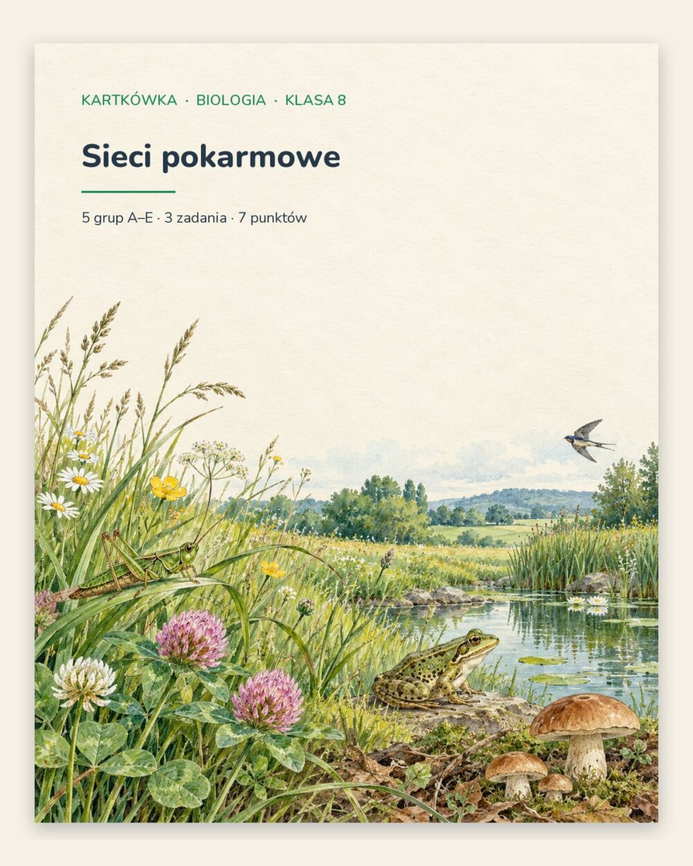 Sieci pokarmowe — kartkówka z biologii, klasa 8, grupy A–E — okładka