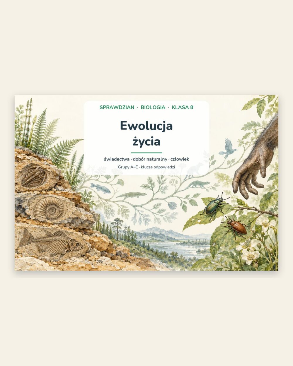 Ewolucja życia — sprawdzian z biologii, klasa 8, grupy A–E — okładka