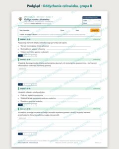 Oddychanie człowieka — sprawdzian z biologii, klasa 7, grupy A–E — podgląd, grupa B