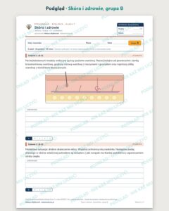 Skóra i zdrowie — sprawdzian z biologii, klasa 7, grupy A–E — podgląd, grupa B