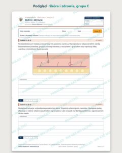 Skóra i zdrowie — sprawdzian z biologii, klasa 7, grupy A–E — podgląd, grupa C