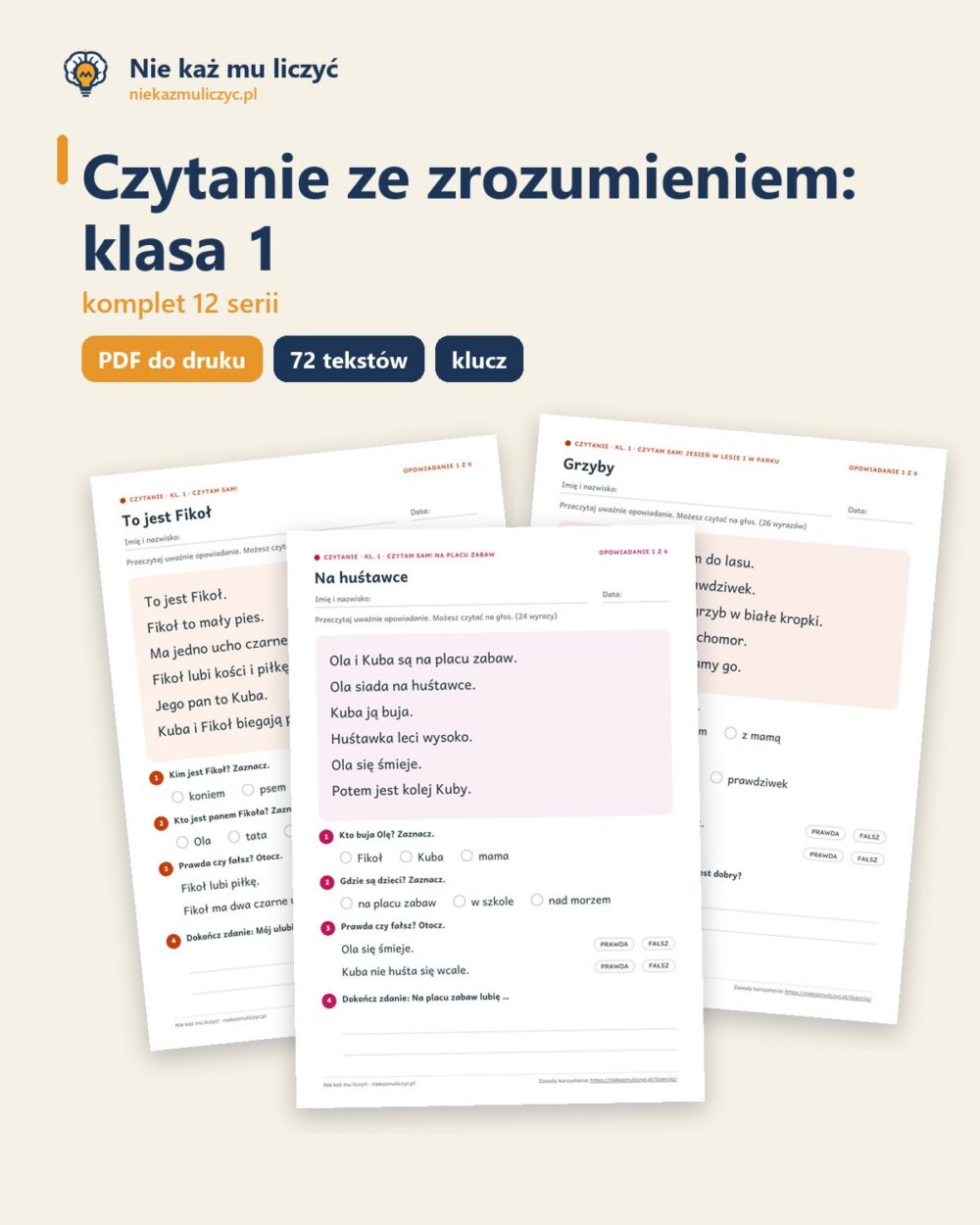 Czytanie ze zrozumieniem, klasa 1 — komplet 12 serii PDF z kluczem — okładka