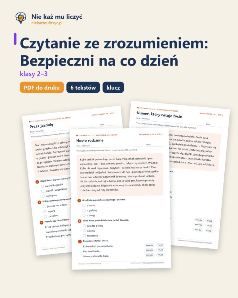 Czytanie ze zrozumieniem kl. 2–3: Bezpieczni na co dzień — okładka