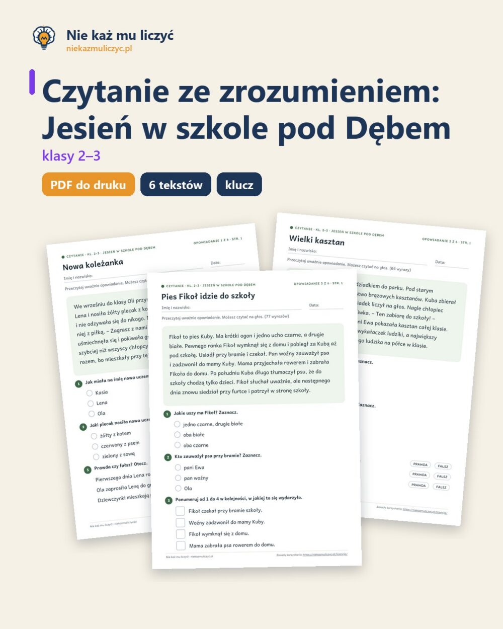Czytanie ze zrozumieniem kl. 2–3: Jesień w szkole pod Dębem — okładka