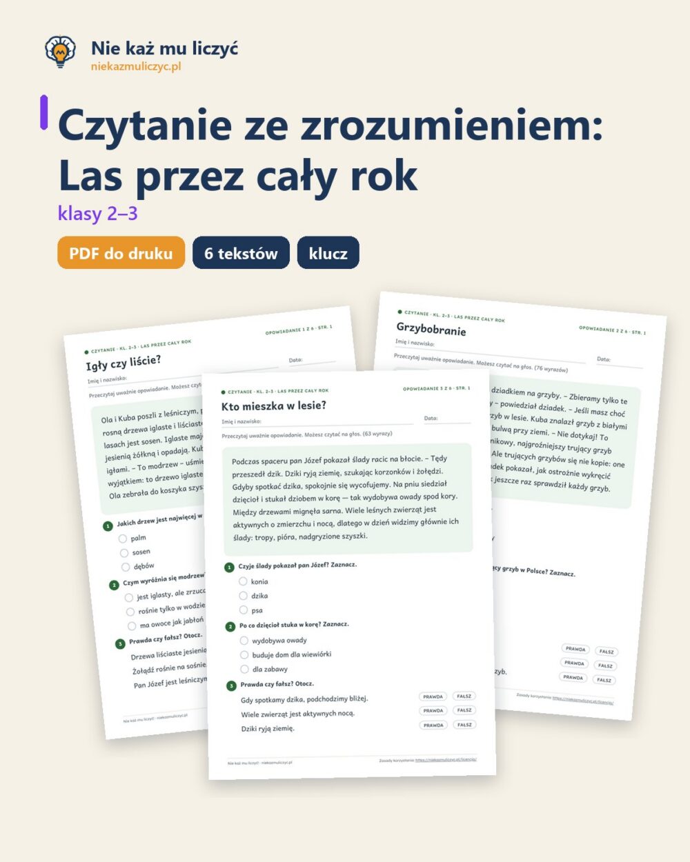 Czytanie ze zrozumieniem kl. 2–3: Las przez cały rok, 6 tekstów PDF — okładka
