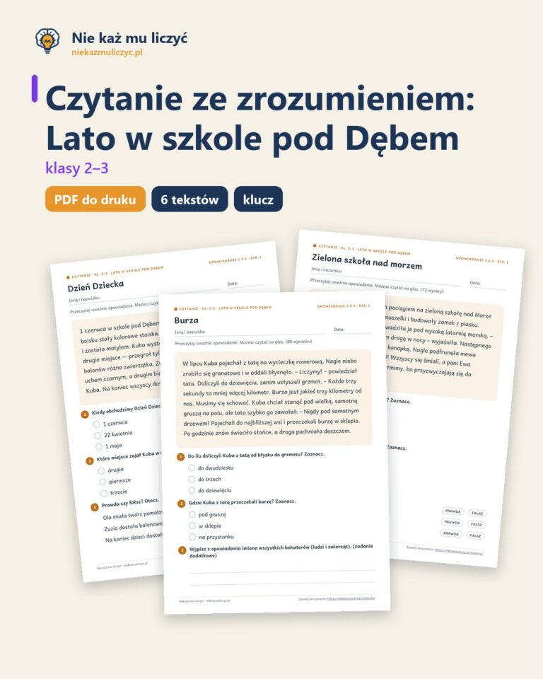 Czytanie ze zrozumieniem kl. 2–3: Lato w szkole pod Dębem — okładka