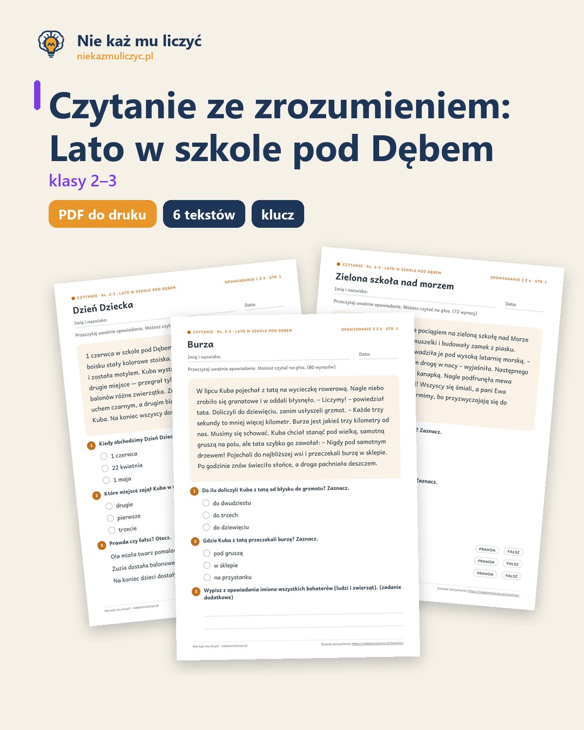 Okładka: Lato w szkole pod Dębem