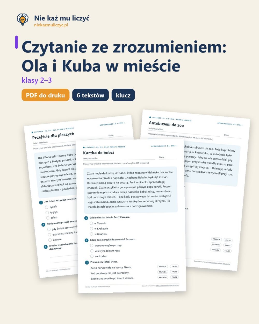 Czytanie ze zrozumieniem kl. 2–3: Ola i Kuba w mieście, 6 tekstów PDF — okładka