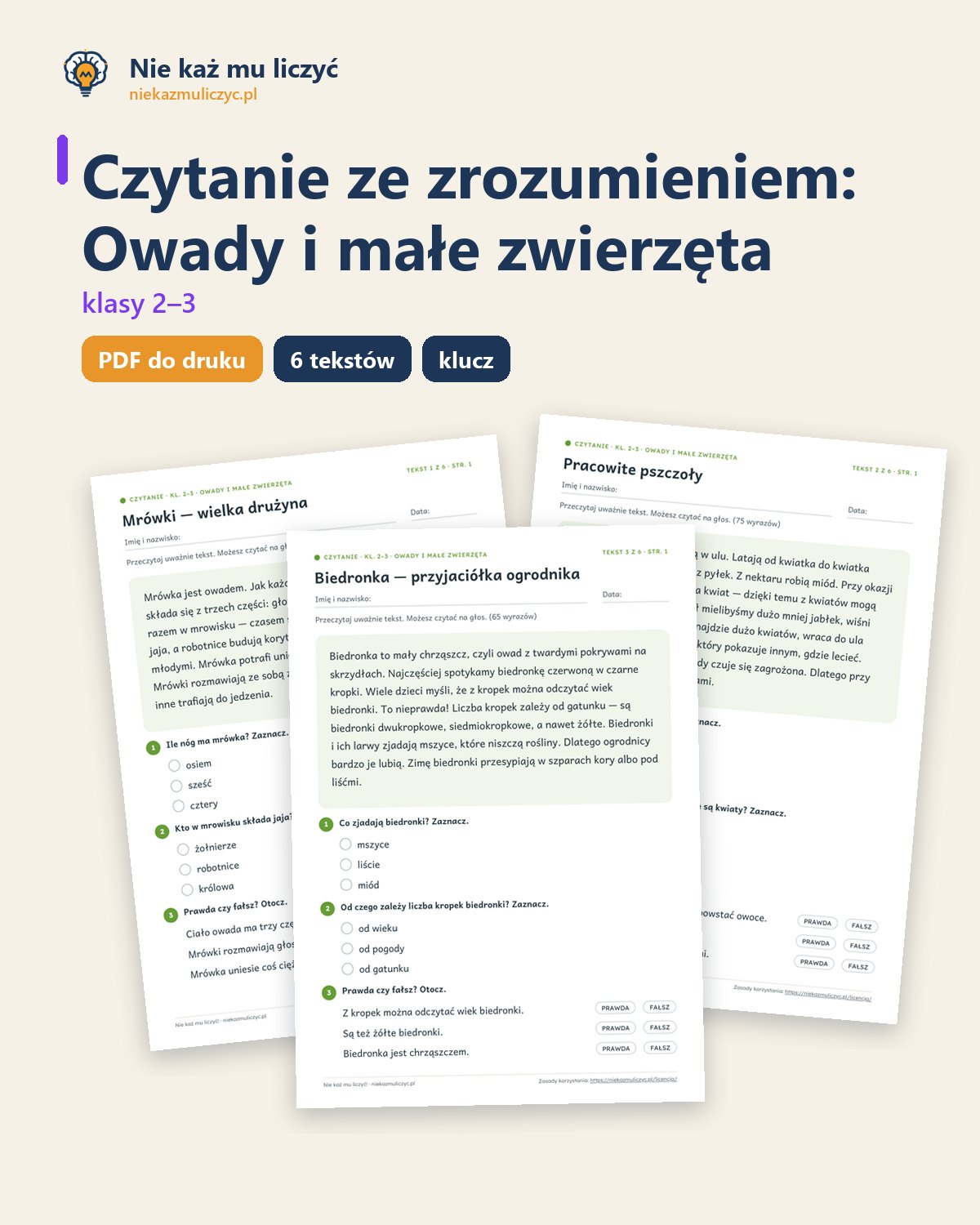 Okładka: Owady i małe zwierzęta