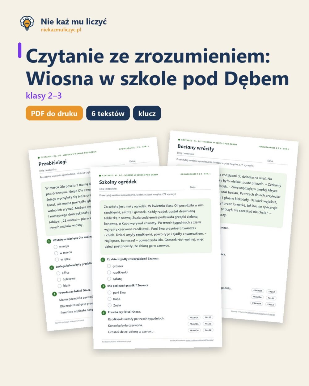 Czytanie ze zrozumieniem kl. 2–3: Wiosna w szkole pod Dębem — okładka