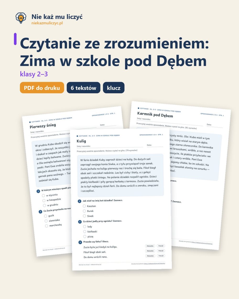 Czytanie ze zrozumieniem kl. 2–3: Zima w szkole pod Dębem — okładka
