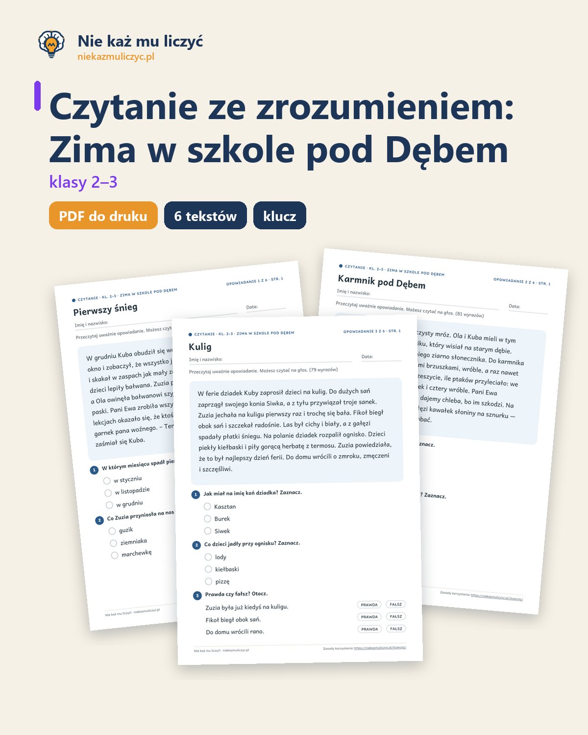 Okładka: Zima w szkole pod Dębem