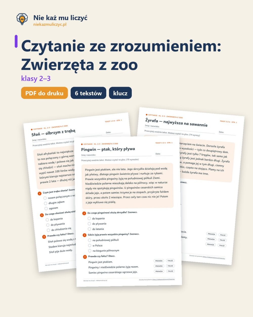 Czytanie ze zrozumieniem kl. 2–3: Zwierzęta z zoo, 6 tekstów PDF — okładka