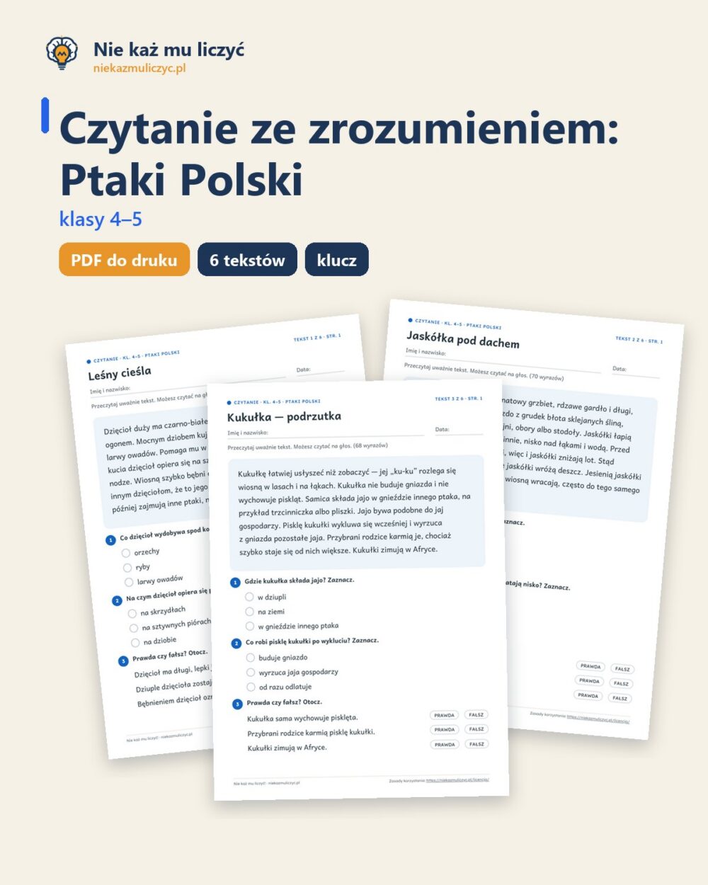 Czytanie ze zrozumieniem kl. 4–5: Ptaki Polski, 6 tekstów PDF — okładka