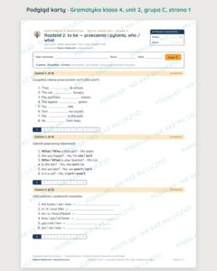 Kartkówka z gramatyki angielski klasa 4 unit 2 — grupy B–E — podgląd karty, grupa C