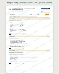 Kartkówka z gramatyki angielski klasa 4 unit 4: have got — B–E — podgląd karty, grupa B