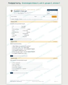 Kartkówka z gramatyki angielski klasa 4 unit 4: have got — B–E — podgląd karty, grupa C